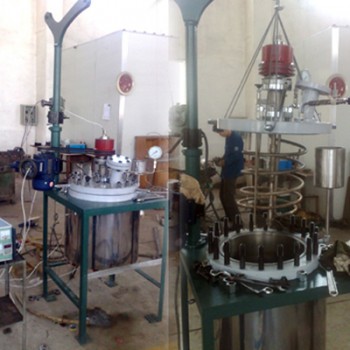 帶起吊蓋裝置的中試用高壓釜 帶起吊蓋裝置的中試用高壓釜